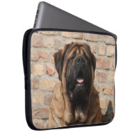 Mastiff englische Dogge Vatertag