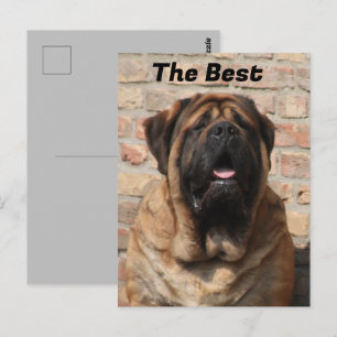  Mastiff englische Dogge Vatertag  Postkarte
