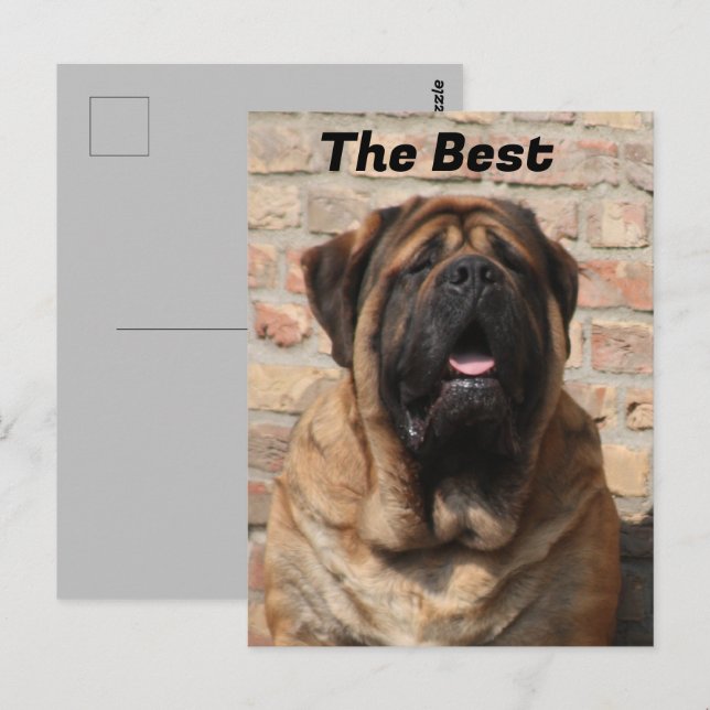  Mastiff englische Dogge Vatertag  Postkarte (Vorne/Hinten)