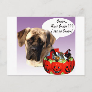 Mastiff (fawn) Halloween Candy Postkarte