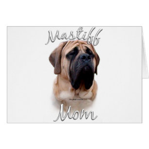 Mastiff (fawn) Maman 2