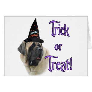 Mastiff (fawn) Trick