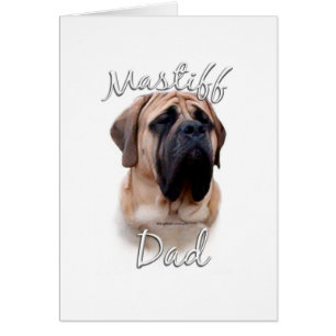 Mastiff (fawn) Vater 2