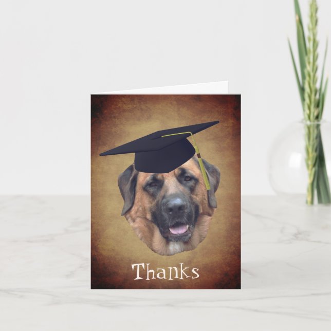 Mastiff Hund in Graduation Cap Danke Karte (Vorderseite)