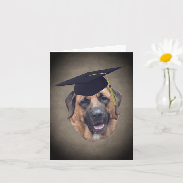 Mastiff Hund in Graduiertenkap-Karte Karte (Kleine Pflanze)