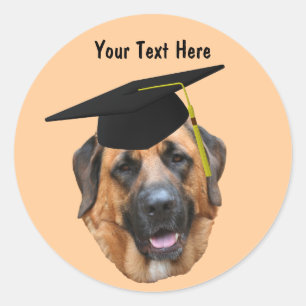 Mastiff in Graduation Cap Funny Dog Sticker