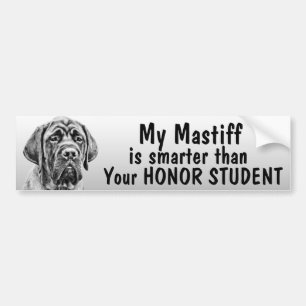 Mastiff intelligenter als Ihr Ehrenstudent - Autoaufkleber