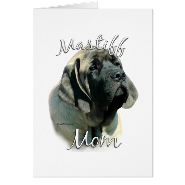Mastiff (Jungtier) Mama 2 (Vorne)