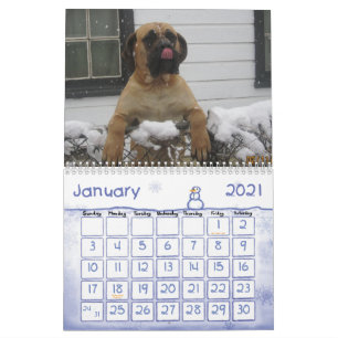 Mastiff-Kalender Kalender