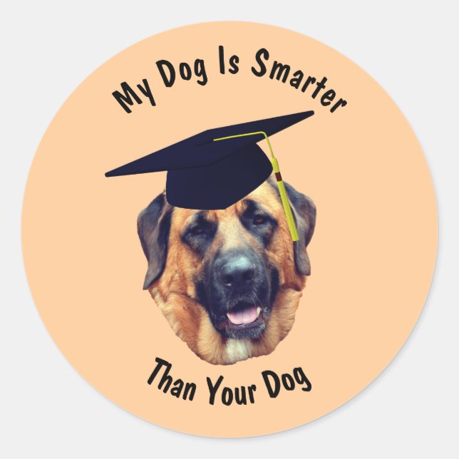 Mastiff mein Hund schlauer als Ihr Hund lustig Runder Aufkleber (Vorderseite)