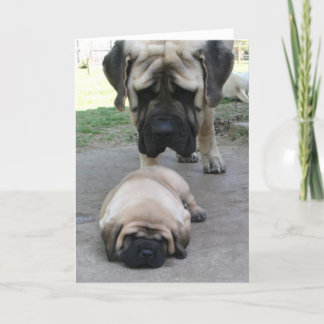 Mastiff père et chiot carte de Fête des pères