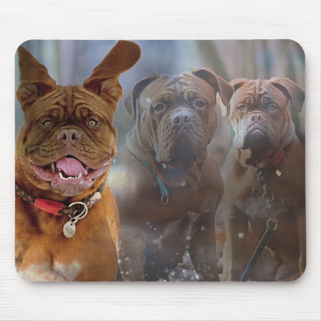 Mastiff Plus Mousepad (Vorne)