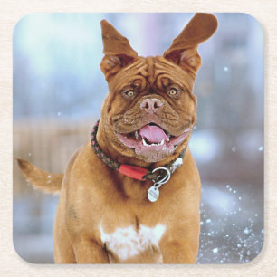 Mastiff Plus Rechteckiger Pappuntersetzer