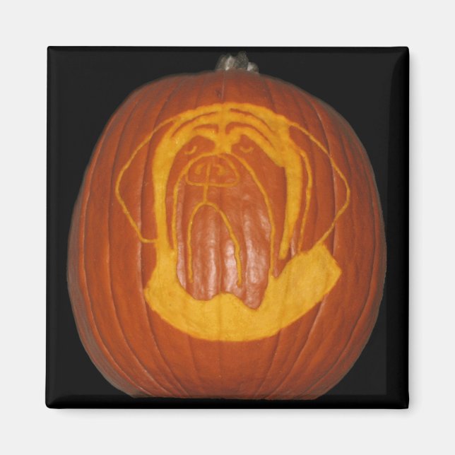Mastiff Pumpkin Magnet (Vorne)