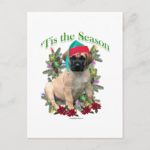 Mastiff "Tis Postkarte