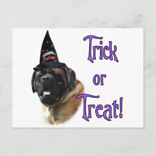 Mastiff-Trick Postkarte