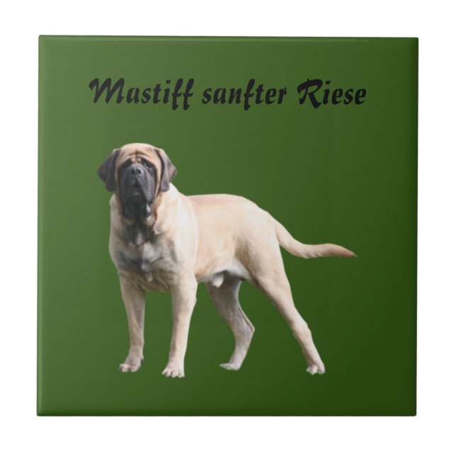 Mastiff  Urlaub English Mastiff Fliese (Vorderseite)