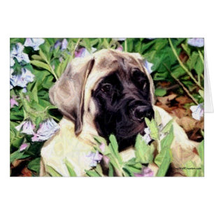 Mastiff Welpe in Bluebells