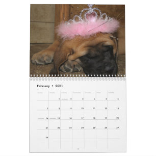 Mastiffkalender Kalender