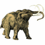Mastodon-Ausschnitt-Magnet/Skulptur Freistehende Fotoskulptur<br><div class="desc">Vor Mastodone oder mastodonts waren große tusked Säugetier-Spezies, die zuerst fast 40 Million Jahren erschienen. Von das amerikanische Mastodon lebte ungefähr 3, 7 Million Jahren vor, bis es ausgestorbene ungefähr 10.000 Jahre BCE wurde. Es ähnelte einem wolligen Mammut dem Aussehen nach, mit einem starken Mantel des shaggy Haares und hatte...</div>