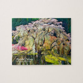 Matabei-Zakura: Kirschbaum wischen