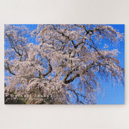 Matabei-Zakura: Kirschbaum wischen