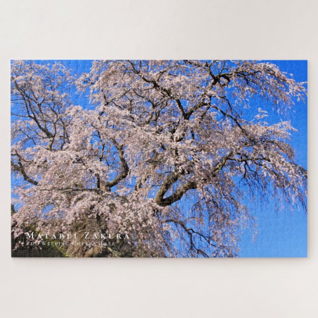Matabei-Zakura: Kirschbaum wischen (Horizontal)