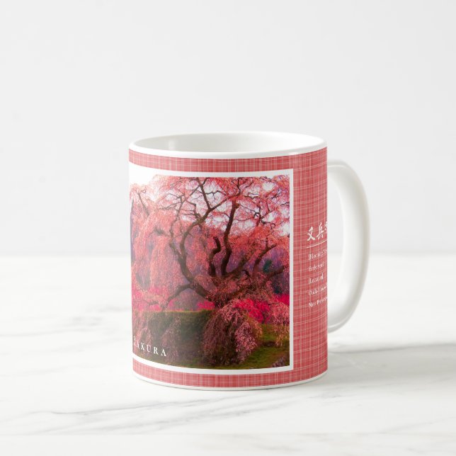 Matabei-Zakura Weeping Cherry Tree Kaffeetasse (VorderseiteRechts)
