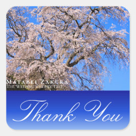 Matabei-Zakura: Weeping Cherry Tree Quadratischer Aufkleber