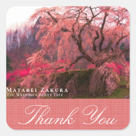 Matabei-Zakura: Weeping Cherry Tree Quadratischer Aufkleber