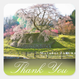 Matabei-Zakura: Weeping Cherry Tree Quadratischer Aufkleber