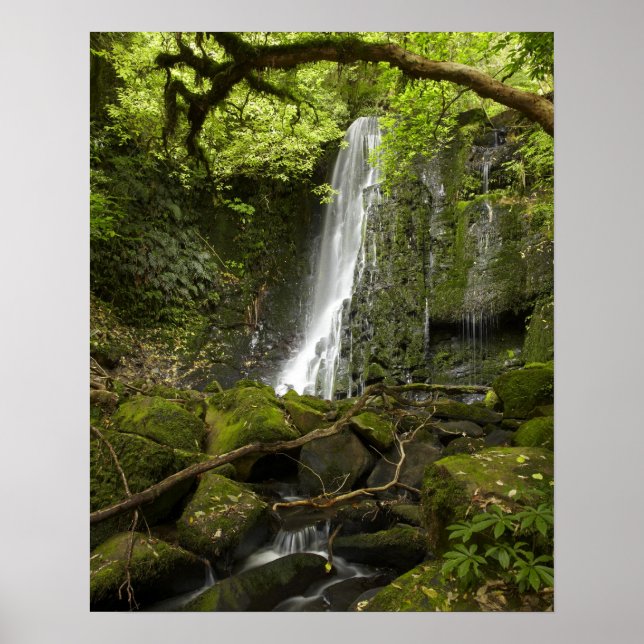 Matai Falls, Catlins, South Otago Poster (Vorne)
