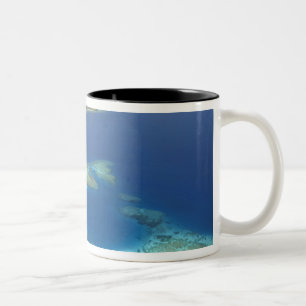 Matamanoa-Insel und Korallenriff, Mamanuca-Insel Zweifarbige Tasse