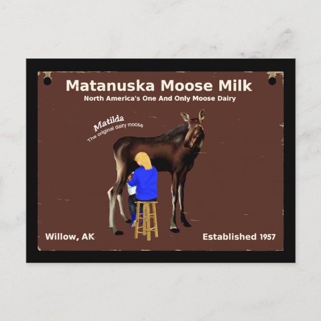 Matanuska Moose Milk Postkarte (Vorderseite)