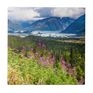 Matanuska-Tal, Südzentralalaska Fliese