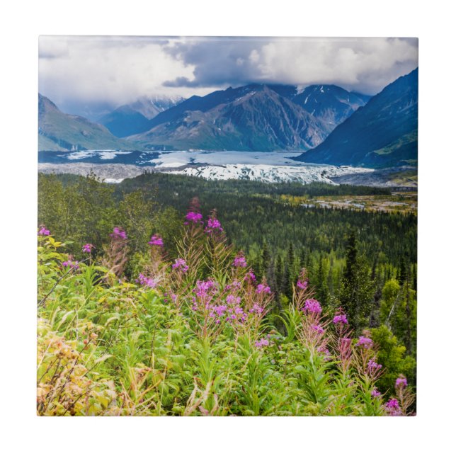 Matanuska-Tal, Südzentralalaska Fliese (Vorderseite)