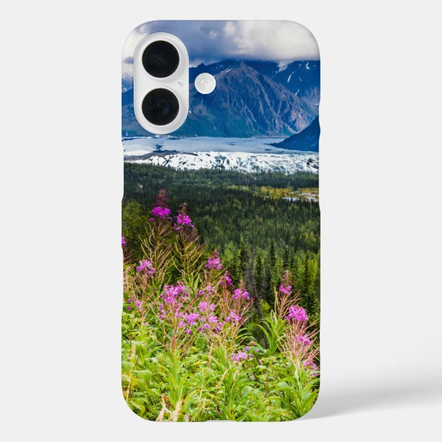 Matanuska-Tal, Südzentralalaska iPhone 16 Hülle (Rückseite)
