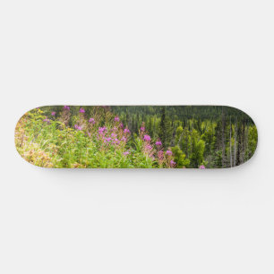 Matanuska-Tal, Südzentralalaska Skateboard