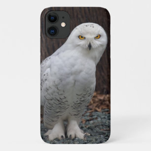 Matching Slippers iPhone 11 Fall Case-Mate iPhone Hülle