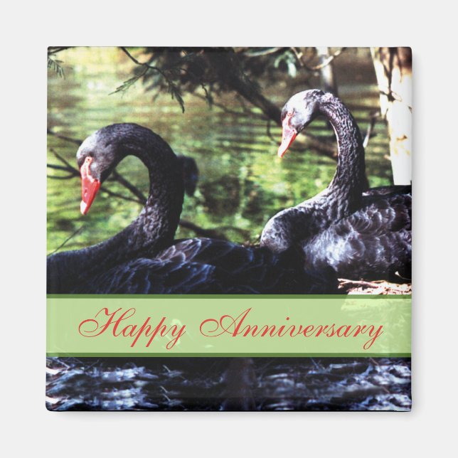 Mates pour la vie Black Swans Anniversaire Magnet (Devant)