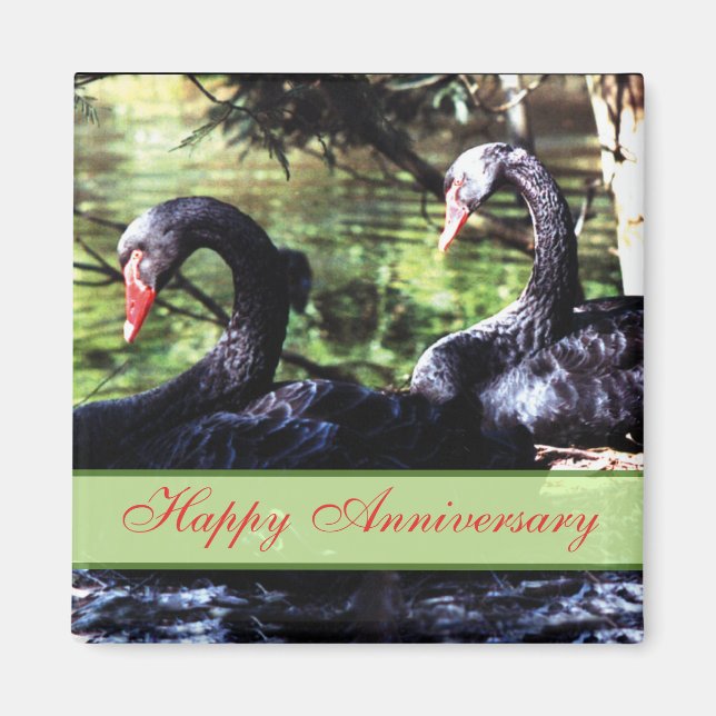 Mates pour la vie Black Swans Anniversaire Magnet (Devant)