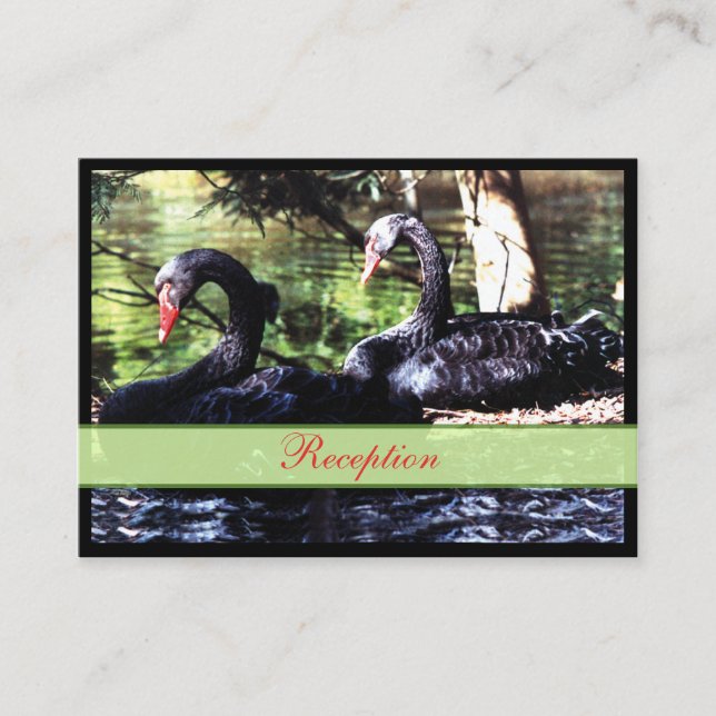 Mates pour la vie Black Swans carte de boîtier (Devant)