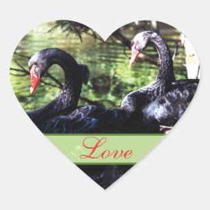 Mates pour la vie Black Swans Sticker en forme de 