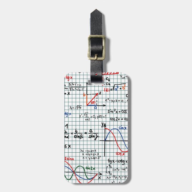 Mathe-Formel-Zahl-Gepäckanhänger Gepäckanhänger (Vorderseite vertikal)