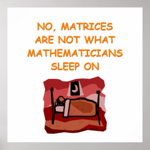 Mathematikwitz Poster