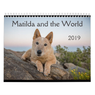 Matilda und der Kalender der Welt2019