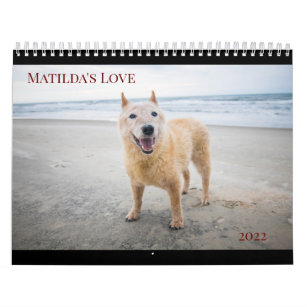 Matildas Liebe 2022 Kalender