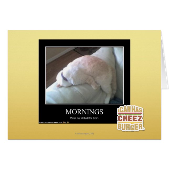 Matin (Devant horizontal)