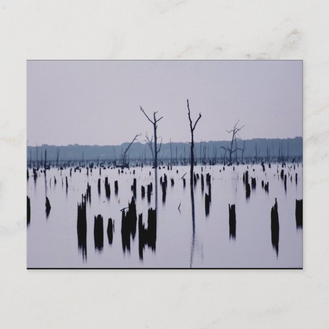 "Matin de deuil" - Carte postale (Devant)