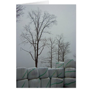 Matin d'hiver 5x7